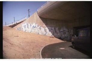 FUCK BUSH