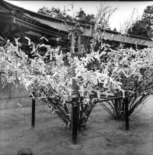 Arbeit von Sandro Antal, Rundgang Kunstakademie Düsseldorf