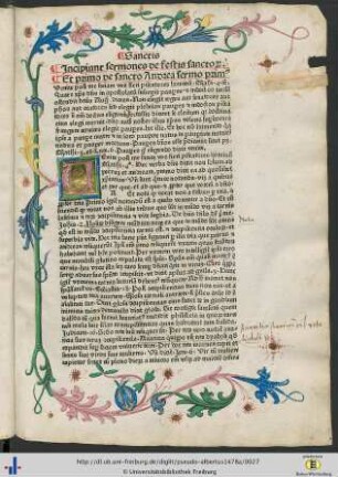 Sermones de festis sanctorum.