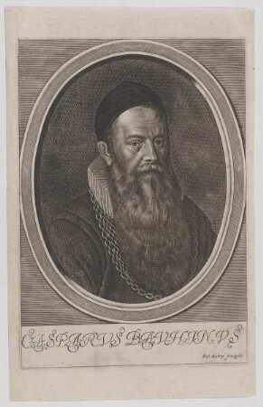 Bildnis Caspar Bauhin