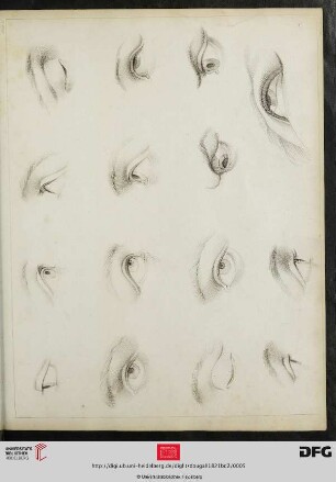 Plate 2. [Augen (Schraffur)]