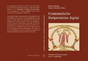Grammatische Stolpersteine digital : Festschrift für Bruno Strecker zum 65. Geburtstag