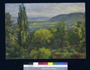Blick in das Lahntal vom Hause Calvinstraße 10