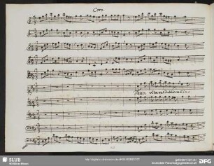 Coro: Della vita nel dubbio cammino