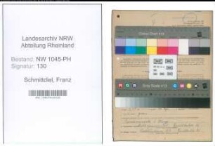 Entnazifizierung Franz Schmittdiel , geb. 30.08.1890 (Arzt)