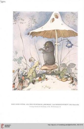 46: Bilderbücher von Else Wenz-Viëtor