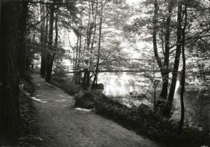 Oberlausitz. Mittleres Spreetal. Fußgängerbrücke im Vogelhain (Humboldthain) oberhalb der Weiten Bleiche. Blick von der Uferpromenade flussabwärts