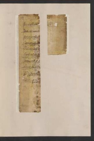 Doctrinale cum commentario (Auszug)