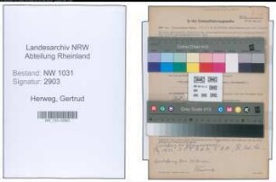 Entnazifizierung Gertrud Herweg , geb. 07.12.1898 ()