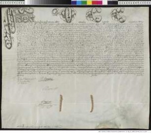 Aussteller: Pius VI. Empfänger: Graf Johann Nepomuck Karl von Hohenzollern-Hechingen. Betreff: Erhebung zum Bischof von Dibona [Dibon / Dhiban in der römischen Provinz Syria Palaestina] und zum Coadjutor c.i.s. des Andrzej Ignacy z Broniewic Baier, Bischof von Kulm. (große Ausfertigung).