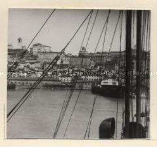 Ancona