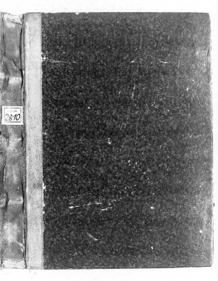 Biblia veteris Testamenti usque ad librum Ruth - BSB Clm 2810