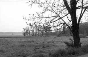 Schönteichen-Biehla. Gegend zwischen Mühl- und Parkteich