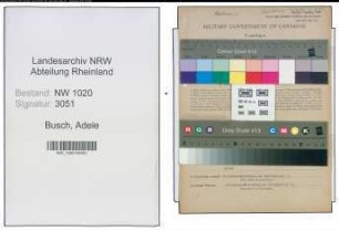 Entnazifizierung Adele Busch , geb. 05.01.1871 (Fabrikantin)