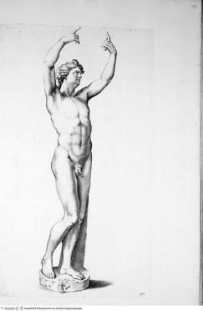 Galleria Giustiniana del marchese Vincenzo Giustiniani. 2 Bände., 1. Band, Tafel 137: Apollo (nach der Antike)