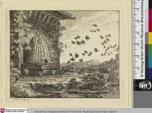 [Die Bienen; Les Abeilles]