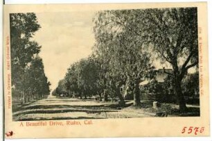 Rialto. A Beautiful Drive, Rialto, Cal.