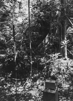 Messinstrument : Instrument für mikroklimatische Messungen in einem Wald nahe Kisaki