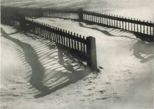 Zäune im Schnee