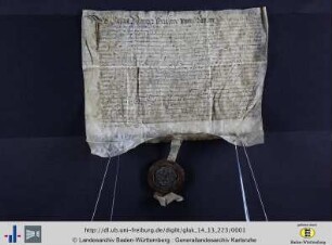 Urkunde, GLA Karlsruhe, 14/223