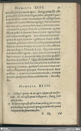 Homilia XIIII