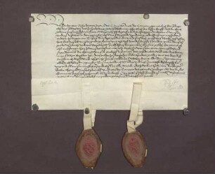 Peter Sieber, Doktor und Prior, und der Konvent des Predigerklosters zu Heidelberg quittieren über eine Abschlagszahlung von 100 Gulden von den von Pfalzgräfin Margarethe ihrem Kloster gestifteten 1.000 Gulden.