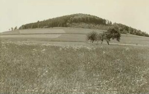 Erzgebirge. Der Luchberg (Basalt, 576 m) von Süden