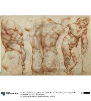 Antiken aus Casa Maffei, männlicher Torso, Eros mit gesenkter Fackel