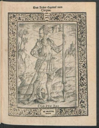 Das Ander Capittel vom Corpus.