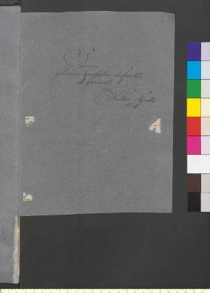 Brief von Goethe, Walther Wolfgang von an Goethe, Johann Wolfgang von