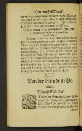 XIII. Von der Sünde in Gemein.