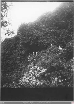 Burggarten in Kronberg