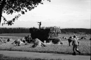 Reiselfingen: Bauernbursch mit Rechen