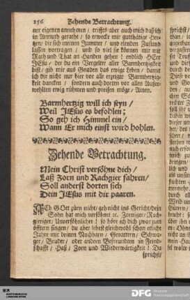 Zehende Betrachtung.