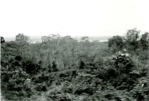 Wald zwischen dem Río Paraná und Três Lagoas