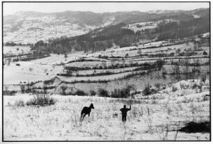 Maramures. Winterlandschaft