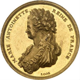 Loos, Daniel Friedrich und Friedrich Wilhelm Loos: Hinrichtung der Marie Antoinette