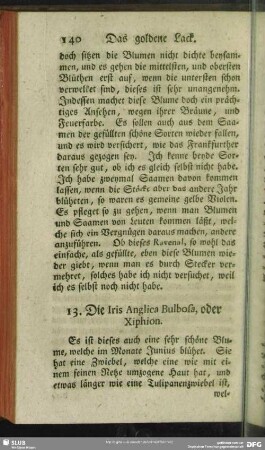 13. Die Iris Anglica Bulbosa, oder Xiphion