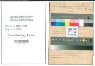 Entnazifizierung Johann Gross-Boelting , geb. 05.09.1919 ()
