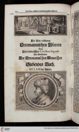 Siebendes Buch