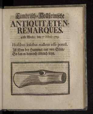 Cimbrisch-Hollsteinische Antiquitæten-Remarques. 42ste Woche/ den 17 Octob. 1719.