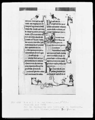 Missale aus Prüm — ---, Folio 30rectoBuchseite