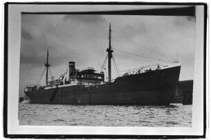 Niederwald (1921), Hapag.- Hamburg-Amerikanische Packetfahrt-Actien-Gesellschaft, Hamburg, Hapag-Lloyd AG, Hamburg