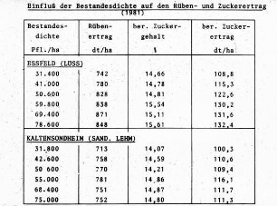 Einfluss der Bestandesdichte auf den Rüben- und Zuckerertrag (1981)