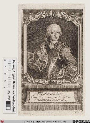 Bildnis Ferdinand Philipp Joseph Fürst Lobkowitz, Herzog von Sagan