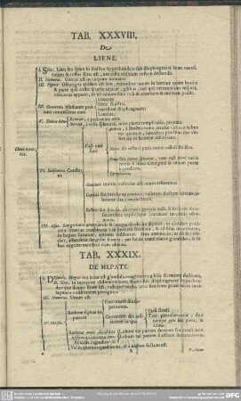 Tab. XXXIX. De Hepate
