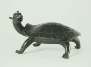 Schildkröte