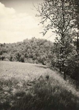 Vogtland, Tal der Weißen Elster. Ruine Liebau (Pöhl-Liebau) bei Jocketa, Blick von Westen über das Tal nahe Trieb