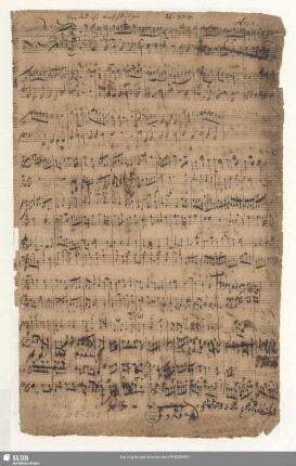 Ach mein Jesus ist verloren - Mus.2-E-549 : V (4), orch, bc