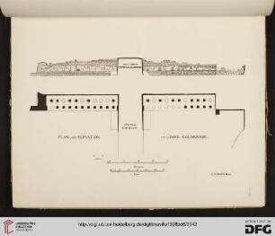 Plate CLI-CLXXIV